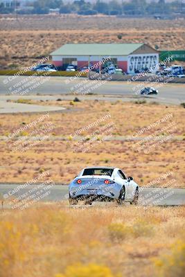media/Nov-16-2024-Extreme Speed (Sat) [[6587d07cc4]]/Gold Group/Session 1 (Turn 2)/